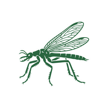 Green Insect Illustration - Detailed Vector Art of a Dragonfly-like Creature