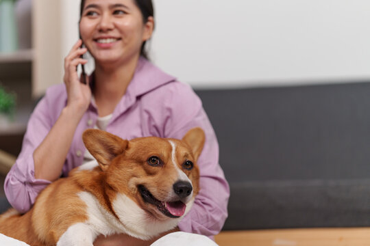 Smiling Asian woman talking on smartphone while sitting with her Corgi dog at home