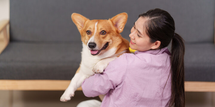 Asian woman holding happy corgi dog at home for pet companionship