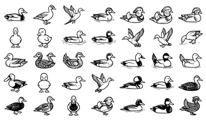 Obraz premium 30 Black and White Duck Bird Outline Vector Collection Isolated on White Background