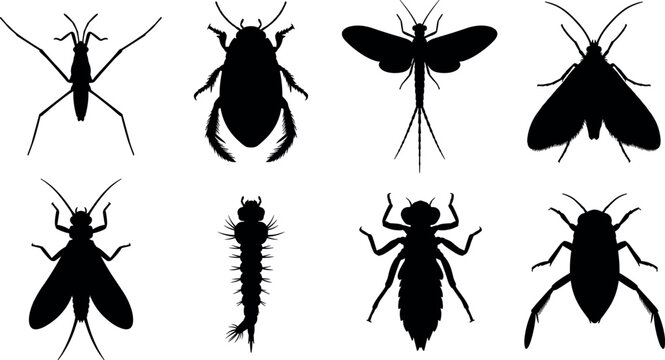 Insect Silhouettes Collection Featuring Beetle, Moth, Fly, and More