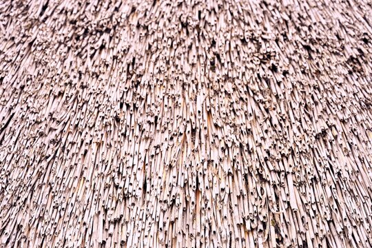 Thatched Roof Texture