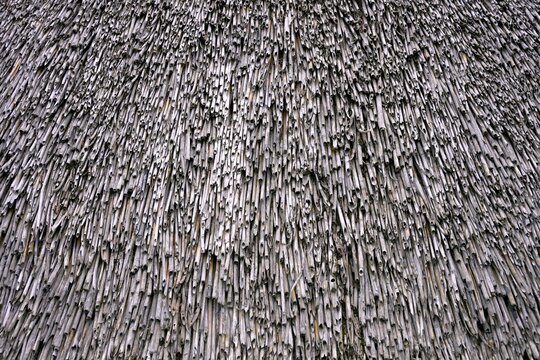 Thatched Roof Texture