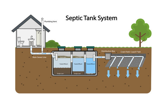 Septic tank system. Three chamber underground septic tank system diagram. Residential sewage treatment cross section infographic. Home wastewater plumbing layout with drain field infographic. Vector