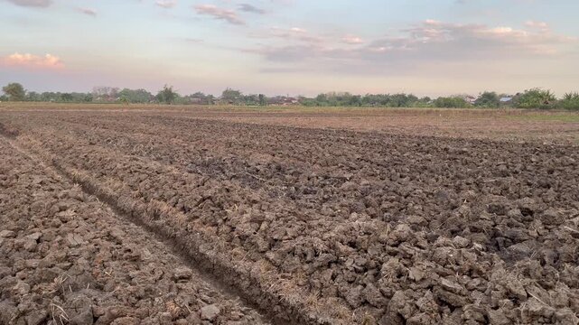 Wide Shot of Ploughed Agricultural Field Under Clear Sky