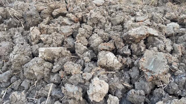 Close up of dry plowed soil clods in agricultural field