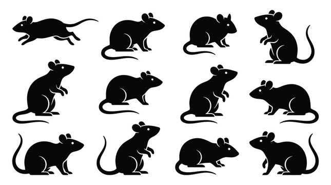 Set of black silhouettes of rats and mice in different poses