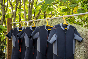 Detail shot of scuba diving gear ready for the water with set of fins, BCD, octopus regulator, dive tank and a hanging wet suit © lupiphoto