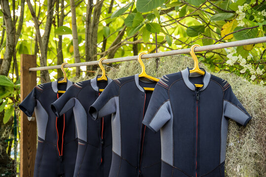 Detail shot of scuba diving gear ready for the water with set of fins, BCD, octopus regulator, dive tank and a hanging wet suit