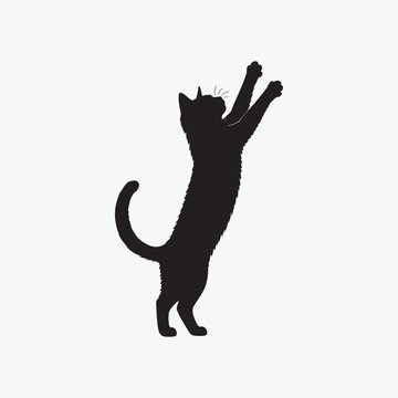 Black silhouette of a cat reaching upward with an extended paw. Isolated vector illustration featuring a clean minimal style.