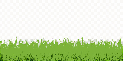 Green grass illustration with transparent background detailed blades © babul