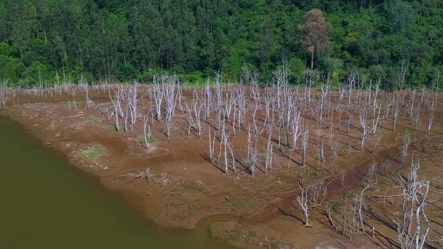 Aerial drone view of the landscape in the Rub&iacute;n Marshes in San Vicente de la Barquera. Oyambre Natural Park. Cantabrian Sea. Cantabria. Spain. Europe