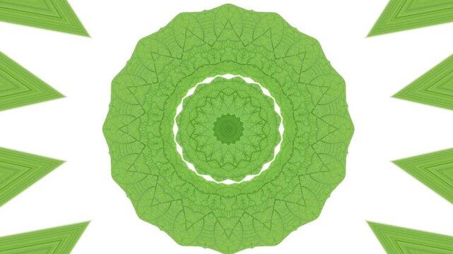 Green leaf kaleidoscope mandala geometric pattern animation on white background
