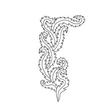Elegant curvy seaweed hand drawn monochrome vector illustration