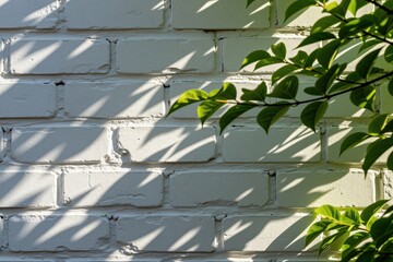 Obraz premium White brick wall texture with dappled sunlight and green leaves casting shadows. Clean surface detail offers natural light patterns and organic contrast. Good for backgrounds.