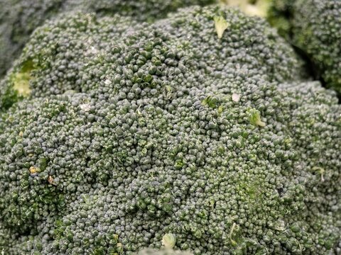 broccoli close up