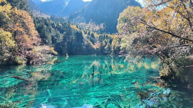 Scenery Jiuzhaigou national park in Sichuan, China. Beautiful Five Flower Lake in Autumn season. Famous Landmark and Vacation near Chengdu, China. Asia travel concept