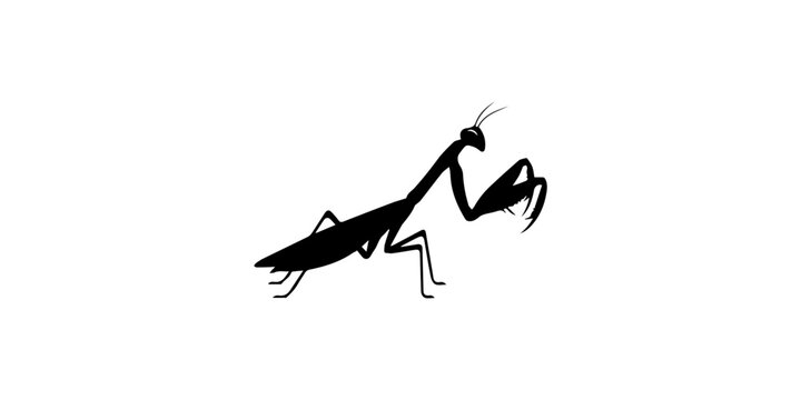 Praying Mantis Black Silhouette Icon White Background.