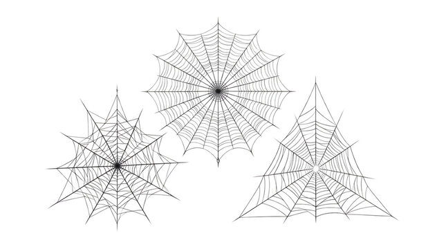 Three artistic spider web designs as isolated element