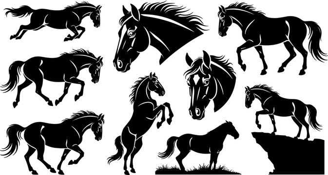 Art & IllustrationBlack Horse Silhouette Vector Set Featuring Galloping Mustangs, Rearing Stallions, and Detailed Head Portraits for Equestrian Sports, Ranches, and Western Branding Designs
