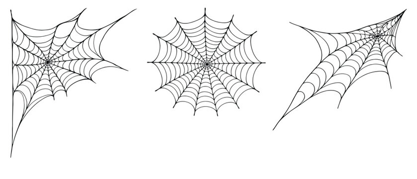 Set of three spider webs, vector illustration of cobwebs for halloween decoration, spooky spider web designs