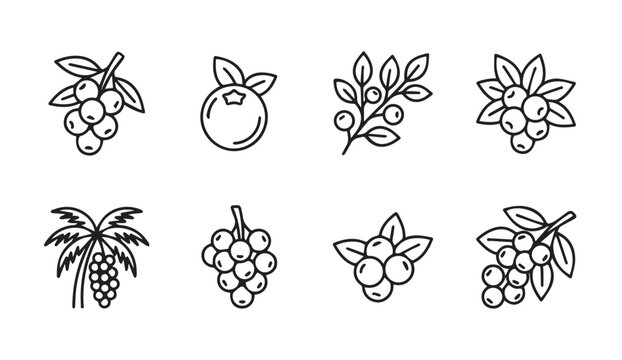 Collection of berry and grape line art icons isolated on white background with simple graphic elements