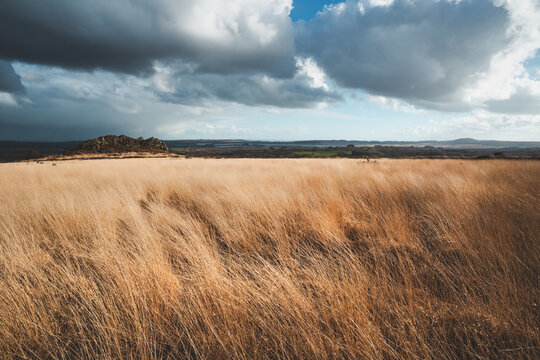 Paysage dans les Monts d'Arr&eacute;e en centre Bretagne - France