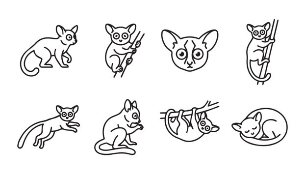 Collection of cute bushbaby outlines in various poses on a white background minimal style