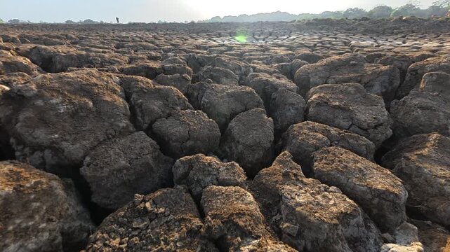 Dry landscape in tropical arid ecosystem in Yala National Park and mud lake due to prevailing drought impact of climate change