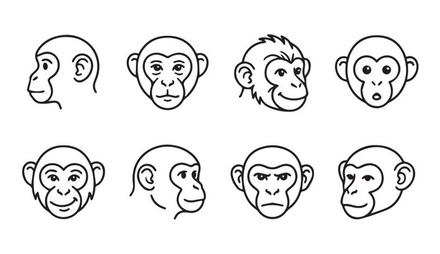 Collection of monkey head line art illustrations showing diverse expressions and profiles