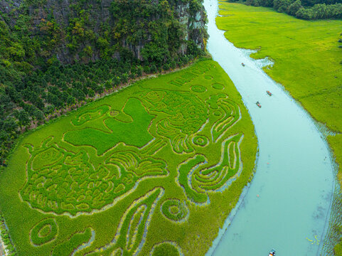 Aerial view of Tam Coc landscape with limestone mountains, river and rice field on Ngo Dong stream, Ninh Binh, province Vietnam