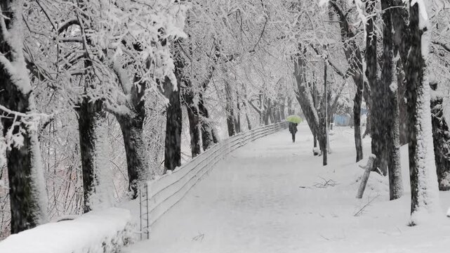 People Walking Through Snowfall on a Winter Day in Sarajevo, Bosnia and Herzegovina