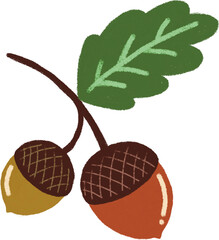 Acorns and Leaf © Minkyung