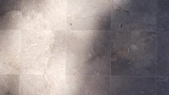 Natural Stone Tile Background with tropical plant Leaf Shadow