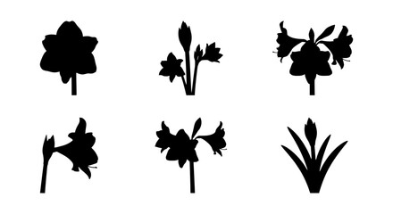 Fototapeta premium Floral Silhouettes Collection: Amaryllis, Lily, Daffodil Vector Icons for Botanical Design