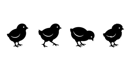 Four Black Chick Silhouettes, Baby Bird Icons, Cute Poultry Vector Graphics © Noman