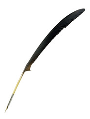 Vintage quill pen with metal nib and dark feather texture. Classic historical writing instrument isolated on transparent background PNG. © andras_csontos