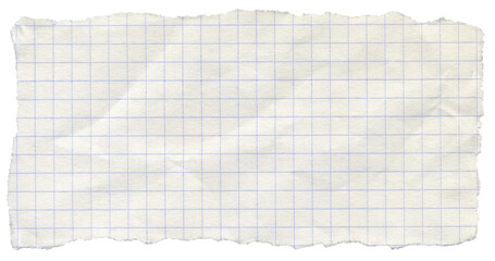 Ripped graph paper carefully isolated with detailed torn edges textur for message background. © Na-um