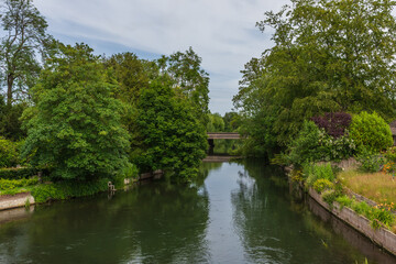 Fototapeta premium Salisbury, UK - June 14th 2026: View from Harnham Bridge of the treelined River Avon.