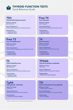 Thyroid Function Tests (TSH, T3, T4) Quick Reference Guide Medical Infographic