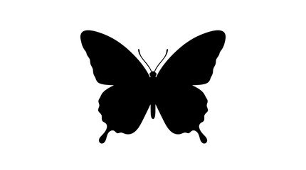 Black Butterfly Silhouette On White Background Minimalist Insect Shape © Kobita
