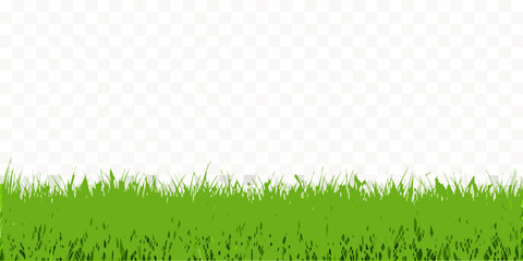 Green Grass Border With Transparent Background Vector Illustration © Parul