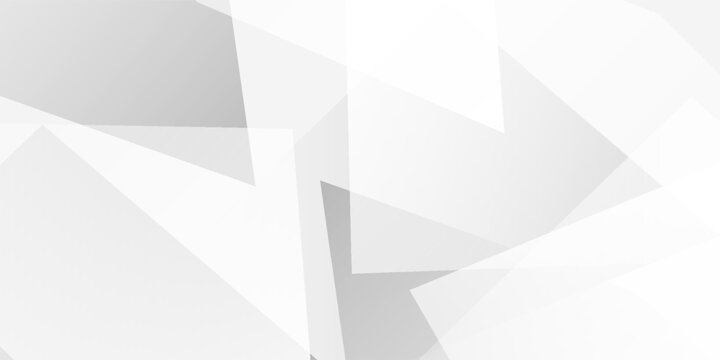 Abstract white and gray triangle vector background. texture white pattern