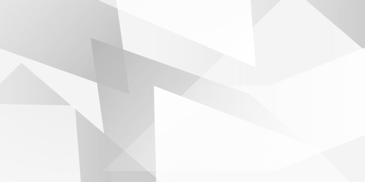 Abstract white and gray triangle vector background. texture white pattern