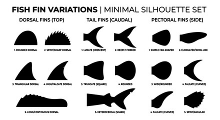 Fish Fin Variations Minimal Silhouette Set, Dorsal Tail Pectoral Fins, Vector Icons for Marine Biology and Aquatic Design © Babu