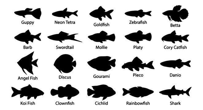 25 Aquarium Fish Silhouettes Vector Set, Diverse Aquatic Species Icons for Pet Stores, Marine Biology, and Underwater Themes
