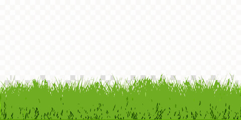 Green grass blades against a transparent background illustration © Tapash