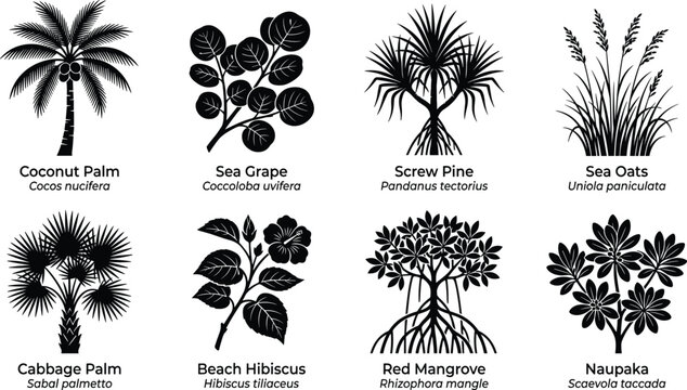 Tropical Coastal Plant Silhouette Collection Featuring Coconut Palm Mangrove Sea Grape Pandanus Sea Oats Hibiscus and Native Vegetation Set