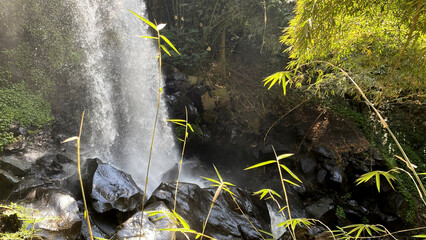 Waterfall cascading over dark wet rocks in forest © Manda Art
