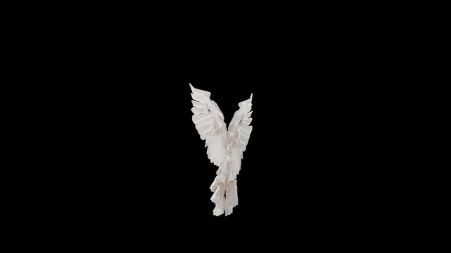 Angel Wings as  front view flapping and animated